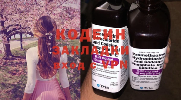 гидра Елабуга